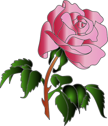 Vector afbeelding van roze roos met veel bladeren