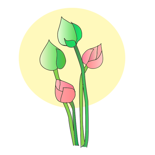 Tulip blomst vektor