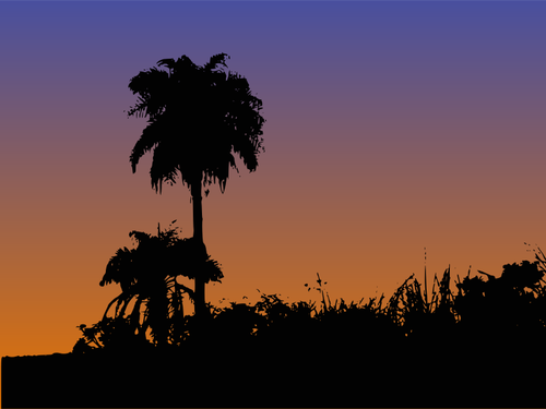 Palm trÃ¤d silhouette vektorritning