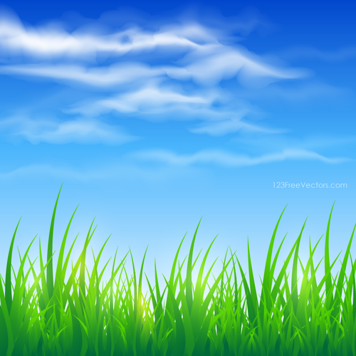 BÅ‚Ä™kitne niebo i trawa zielona