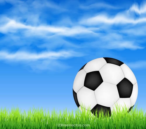 Futbol topu yeÅŸil Ã§imenlerin Ã¼zerinde