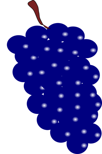 Blaue Trauben-Vektor-Bild