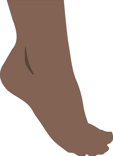 Immagine di vettore del piede umano