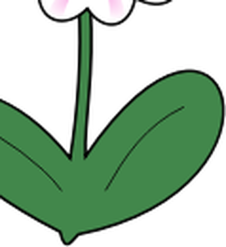 Daisy uzun yeÅŸil yapraklarÄ± ile vektÃ¶r grafikleri