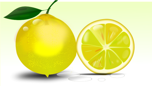 Lemon vector image