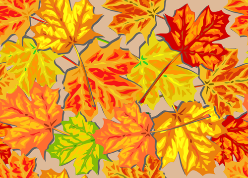 Heldere herfstbladeren vectorafbeeldingen