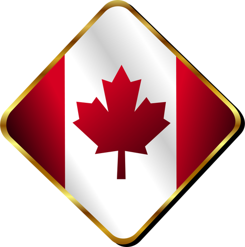 Canadian badge vector image