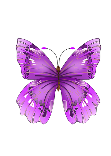 PiÄ™kny, fioletowy motyl