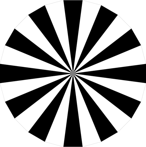 Immagine vettoriale pallette di bianco e nero