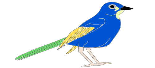 Imagem de papagaio colorido