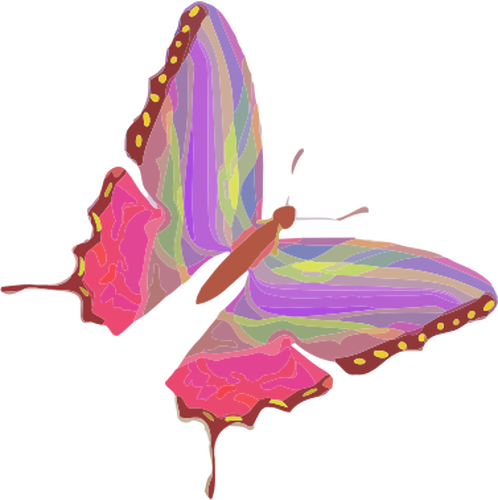 Curcubeu fluture