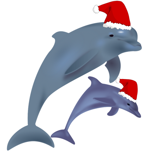 Golfinhos de Natal