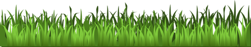Green grass image