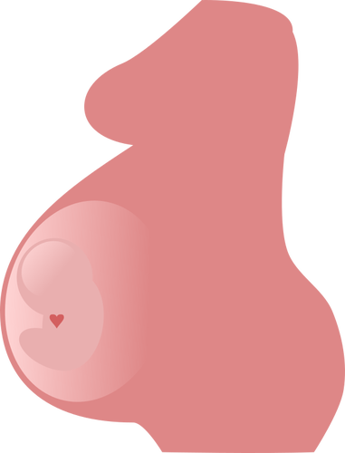 Imagen vectorial de embarazo