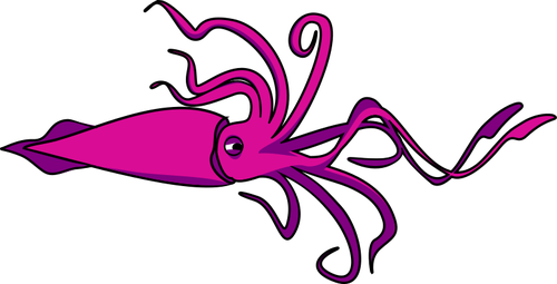 Vector image of squid