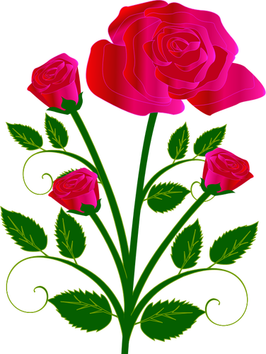 GrÃ¡ficos de vector de cuatro rosas en un stam