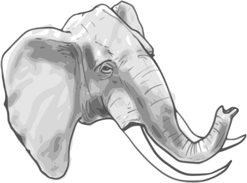 Contorno grÃ¡ficos vectoriales de elefante