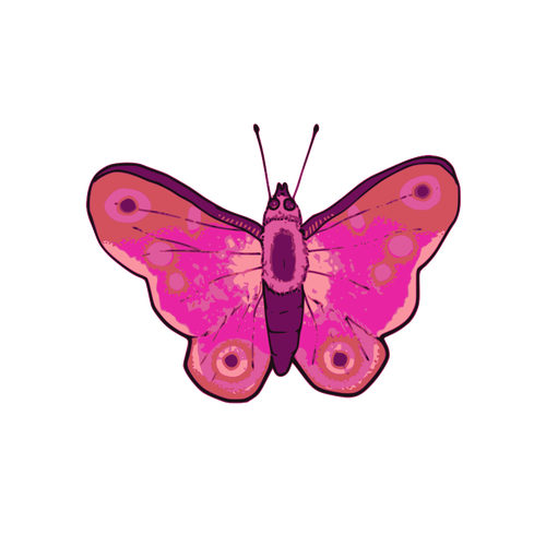 IlustraÅ£ie vectorialÄƒ de culoare roz ÅŸi violet fluture