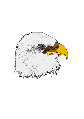 Seni vektor Eagle
