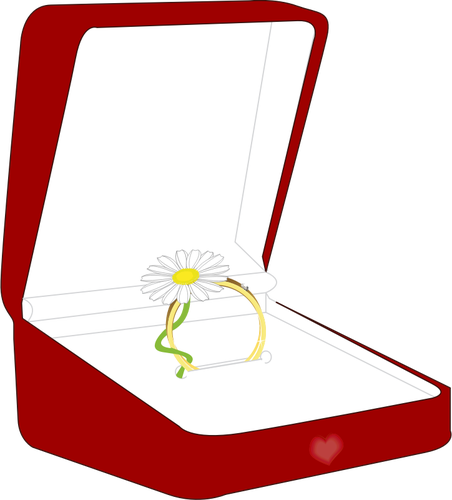 VektorovÃ© ilustrace ring box