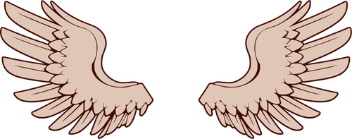 Vector image of bird wings