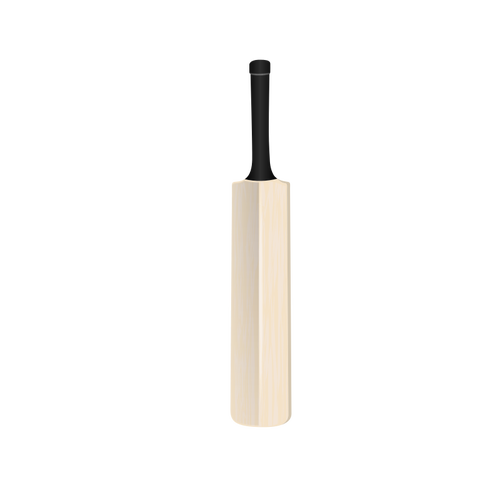 Cricket-SchlÃ¤ger-Vektor-Bild