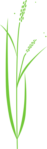 Vektor-Cliparts einfach Reis Pflanze
