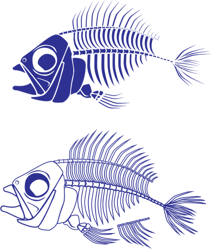 Pesce scheletro vettoriale grafica