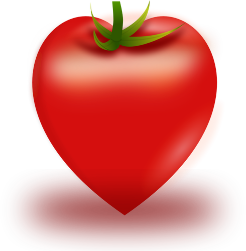 Illustration vectorielle de la tomate en forme de coeur