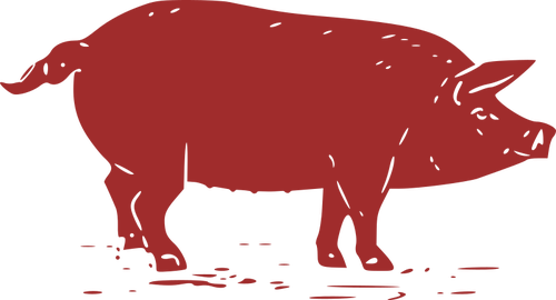 Silhouet van een varken
