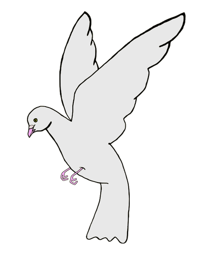 Porumbel alb