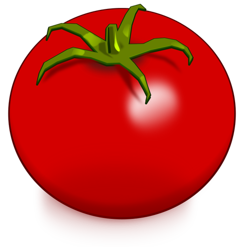 BÅ‚yszczÄ…cy pomidor obrazu