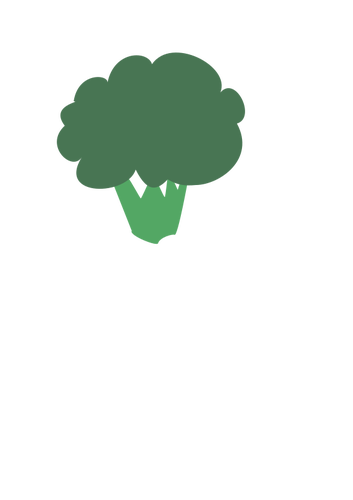 Brokkoli, Zeichnung