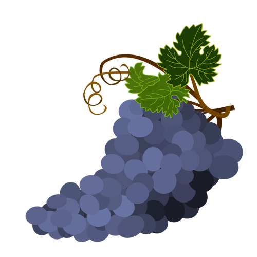 Fioletowy winogron wektorowa