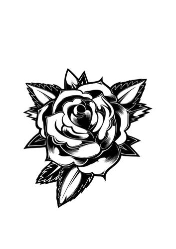 Schwarz / weiÃŸ erblÃ¼hte rose