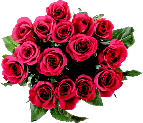 Rosas bouquet vector de la imagen