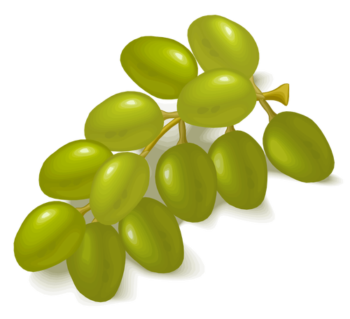 Image de raisins verts