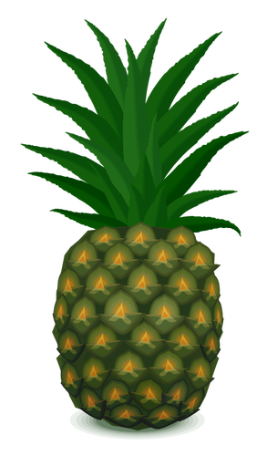 Ã‡izim ananas