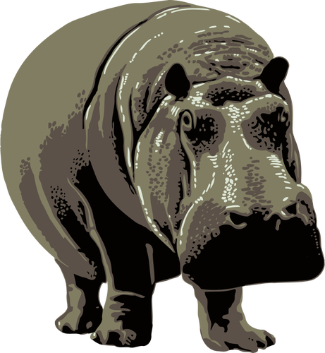Vector image of a hippo