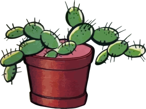 Immagine di cactus