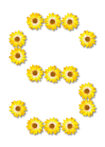S, feito de flores