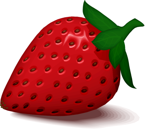 Strawberry vector image