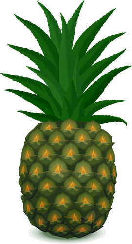 GrÃ¶n ananas vektorbild