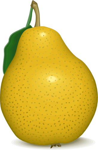 Imagem vetorial de pera amarela