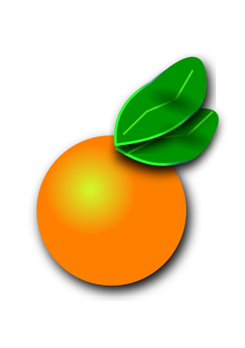 Agrumi arancio