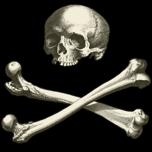 Lebky a kosti s ÄernÃ½m pozadÃ­m