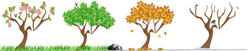 Image vectorielle arbres