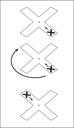 Vector diagram of  construction of a Magic Carpet