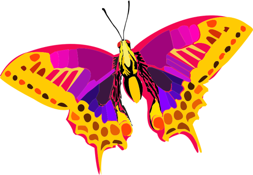 Abstrata colorida borboleta