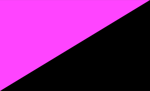 Vector afbeelding van anarcho-queer vlag